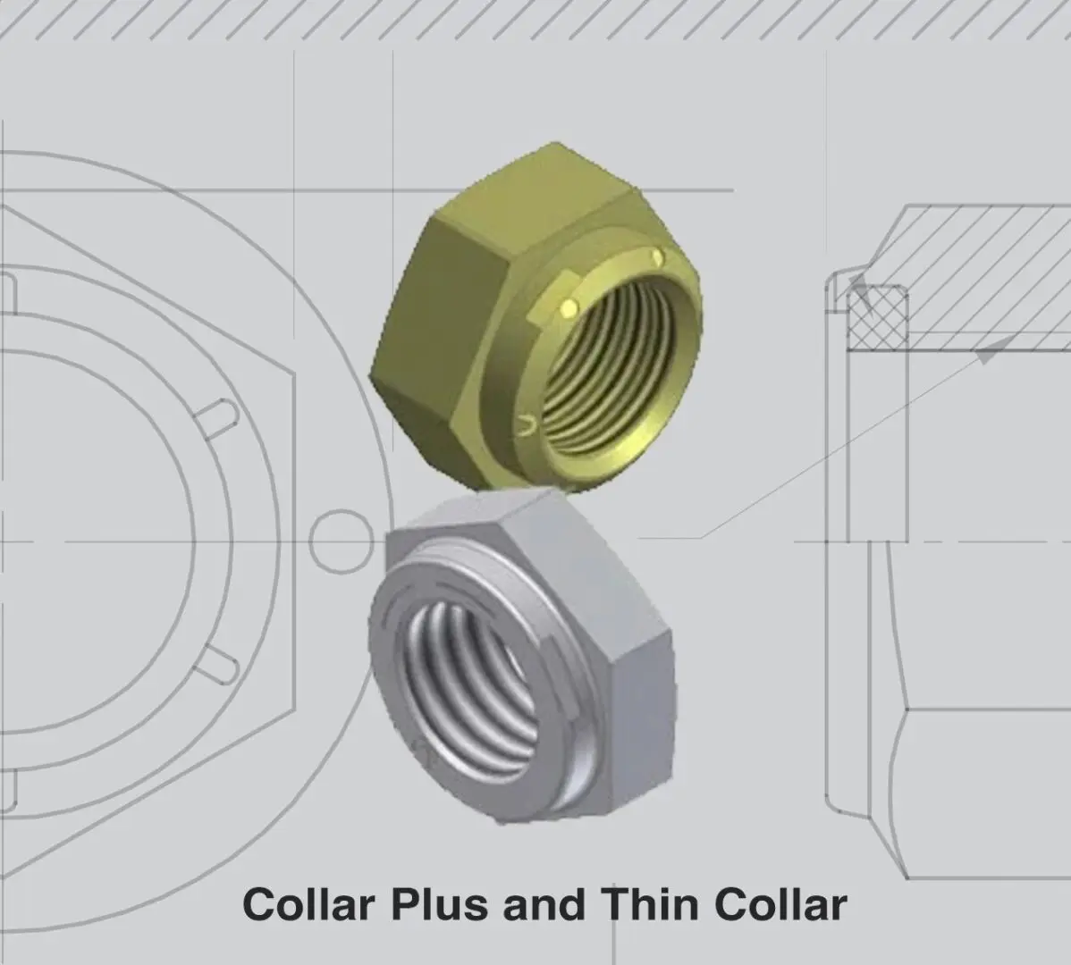 3D models of two types of collars: Collar Plus and Thin Collar.